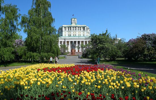 Russia Blooming Season