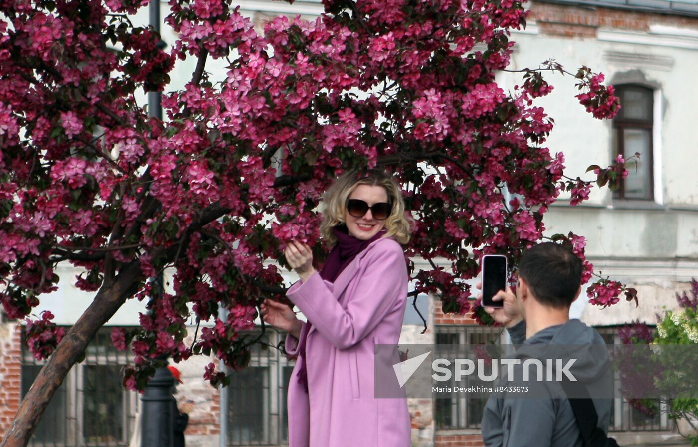 Russia Blooming Season