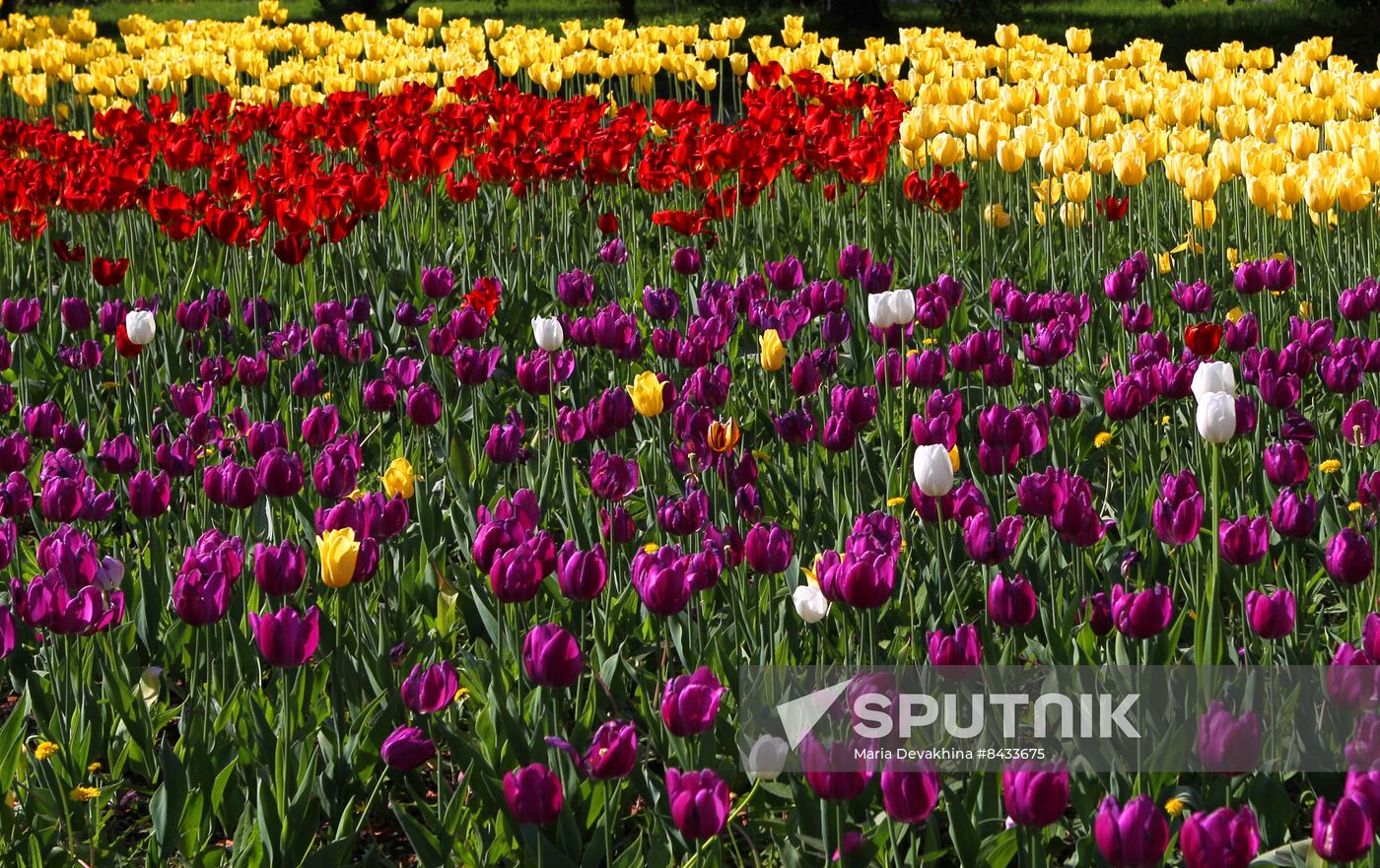 Russia Blooming Season