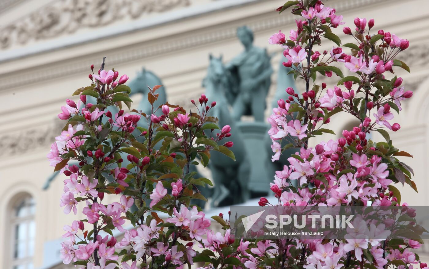 Russia Blooming Season