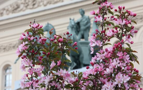 Russia Blooming Season