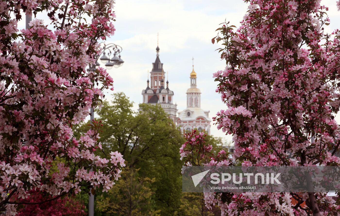 Russia Blooming Season