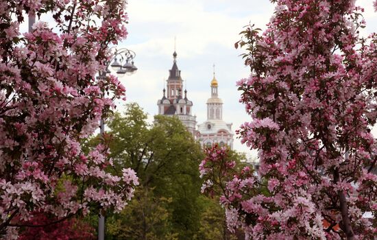 Russia Blooming Season