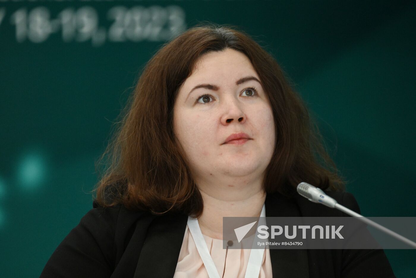 KAZANFORUM 2023. Climate resilience: Russia - OIC countries dialogue
