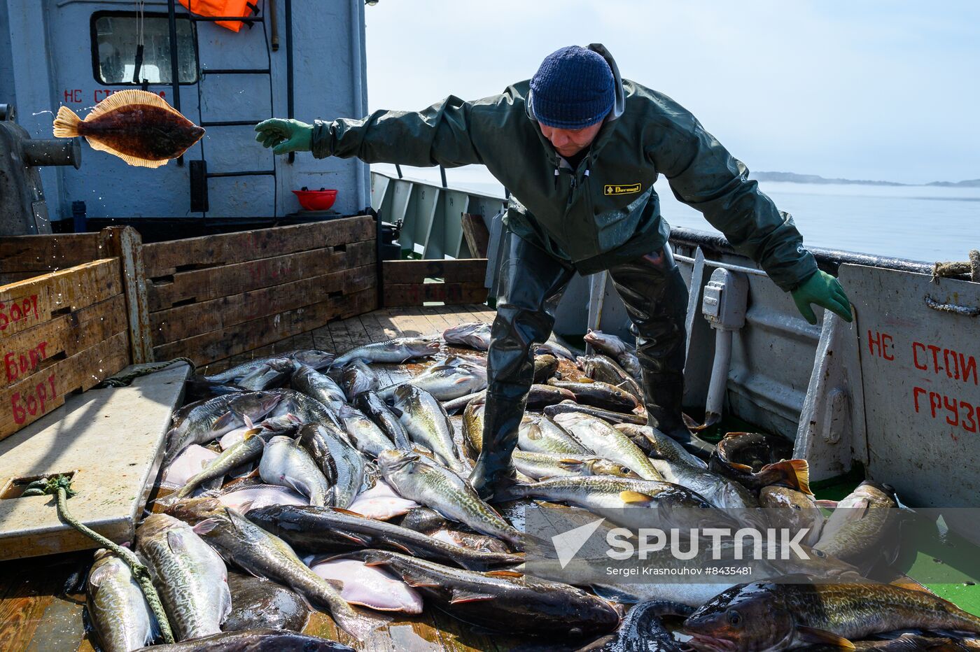 Russia Fishing Industry
