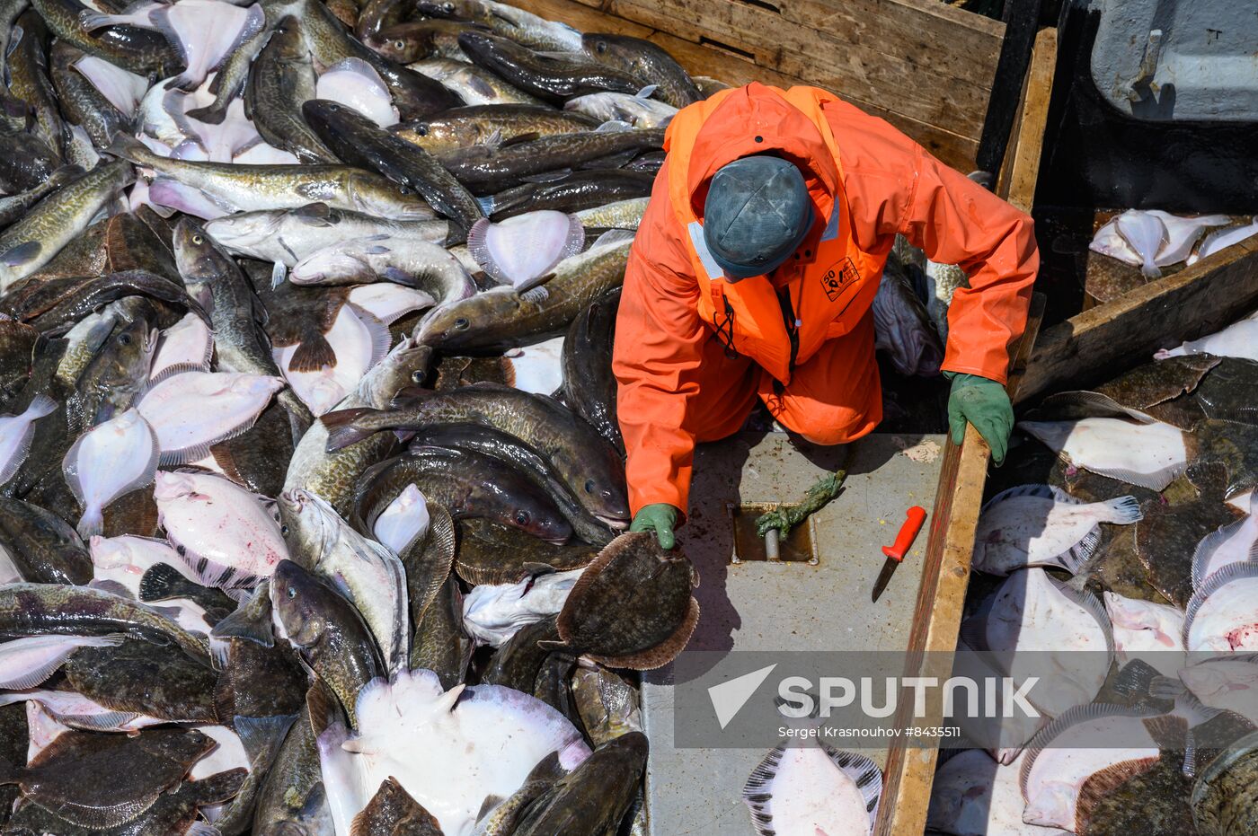Russia Fishing Industry