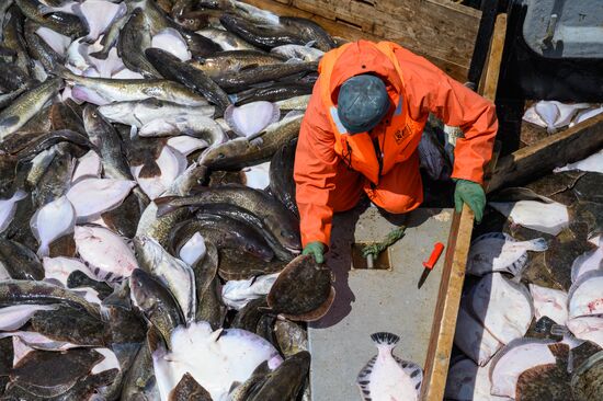 Russia Fishing Industry