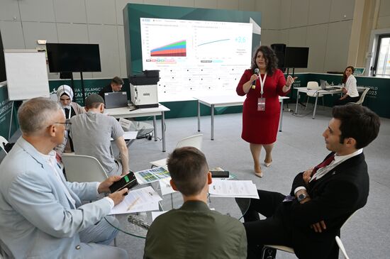 KAZANFORUM 2023. Conducting a climate business game on the model of EN-ROADS