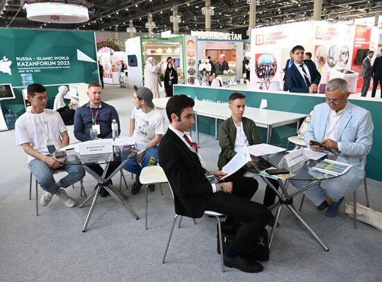 KAZANFORUM 2023. Conducting a climate business game on the model of EN-ROADS