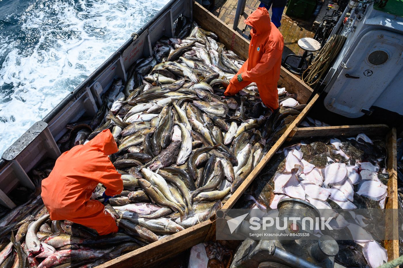 Russia Fishing Industry
