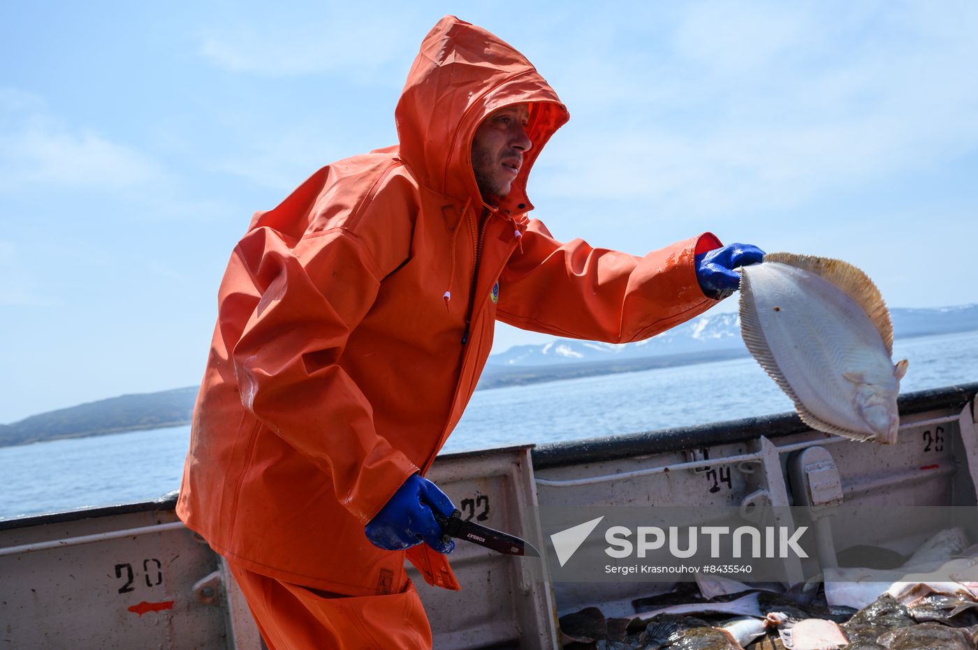 Russia Fishing Industry
