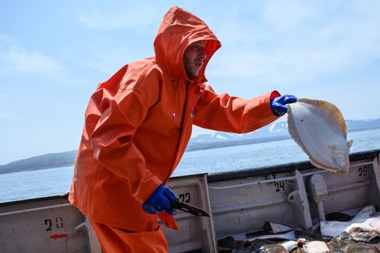 Russia Fishing Industry