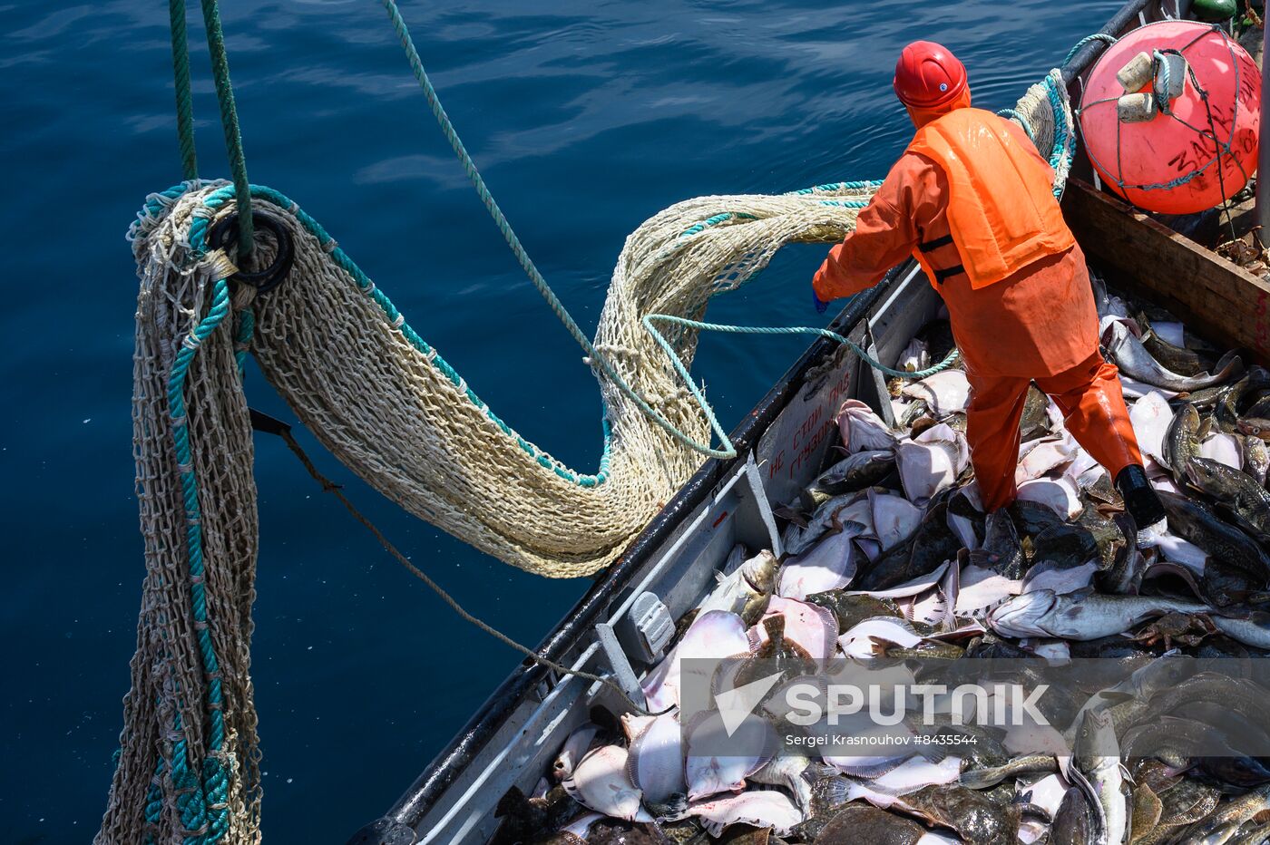 Russia Fishing Industry