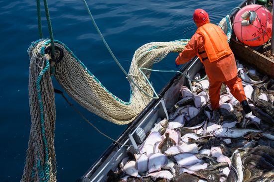 Russia Fishing Industry