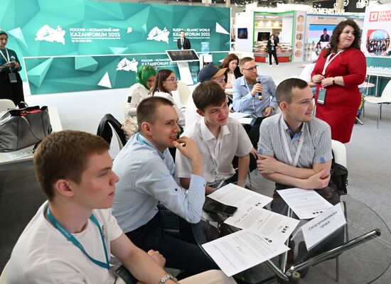 KAZANFORUM 2023. Conducting a climate business game on the model of EN-ROADS