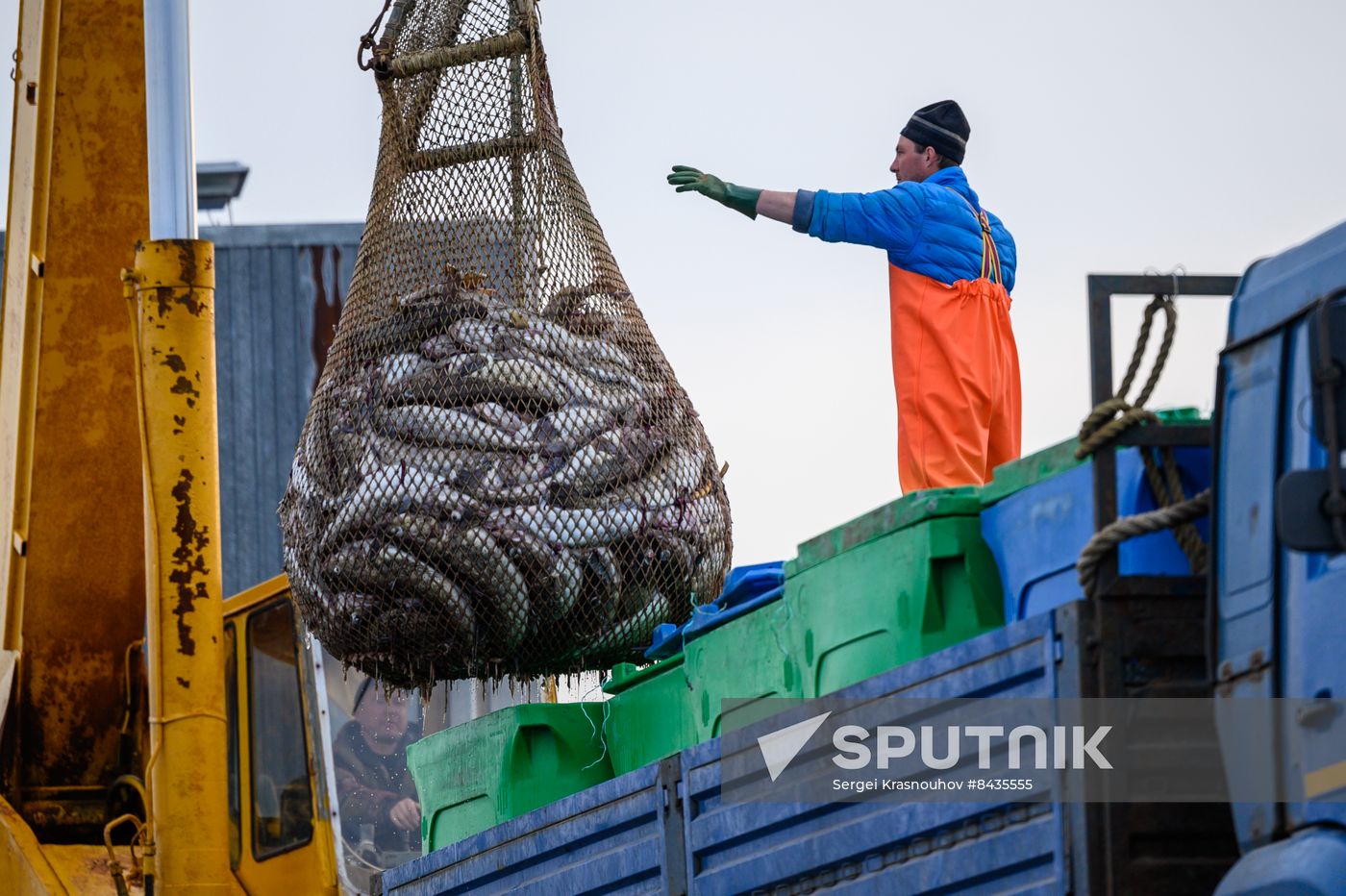 Russia Fishing Industry