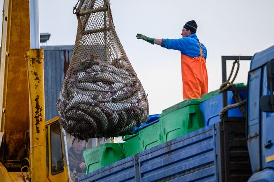 Russia Fishing Industry