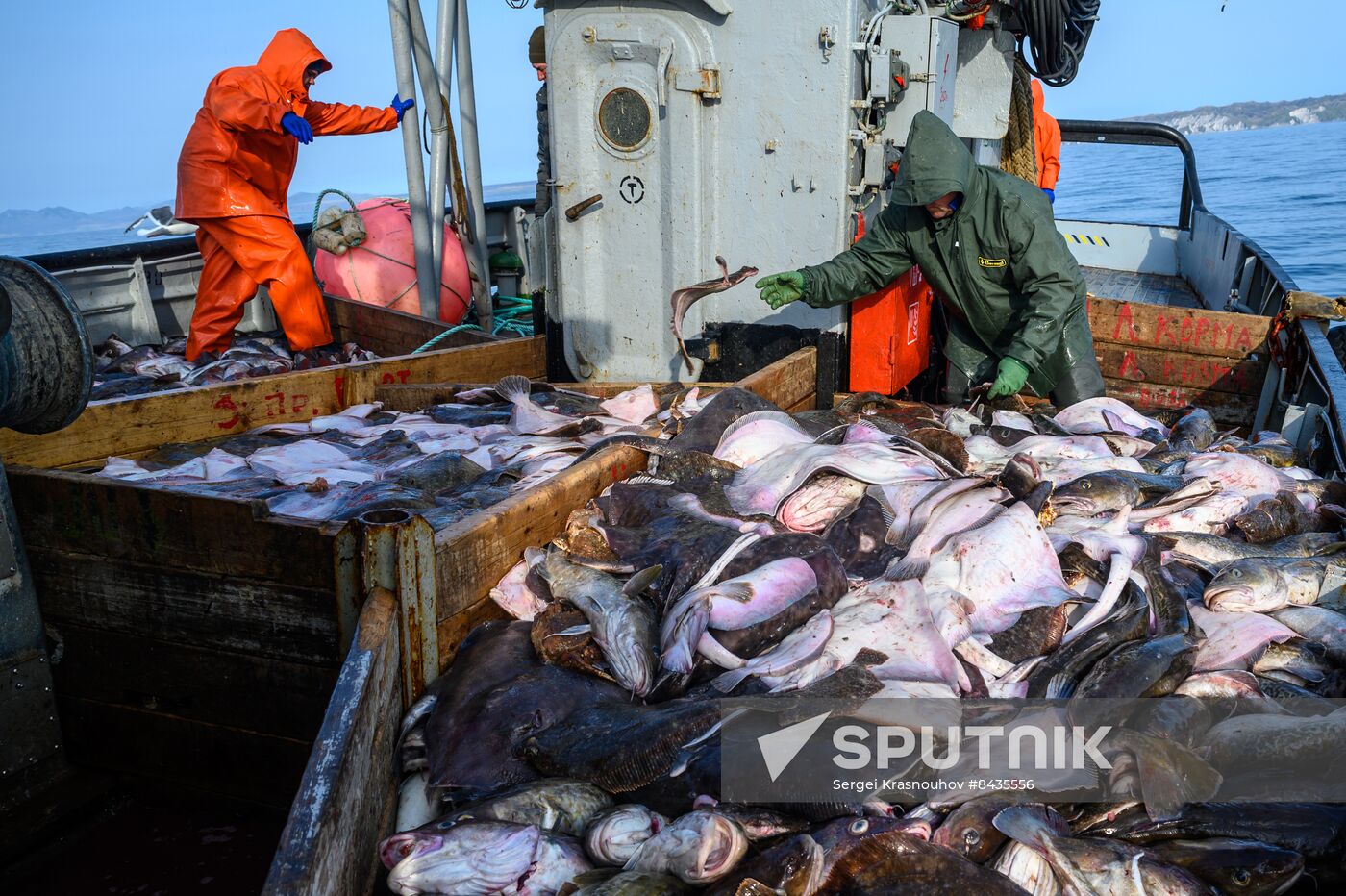 Russia Fishing Industry