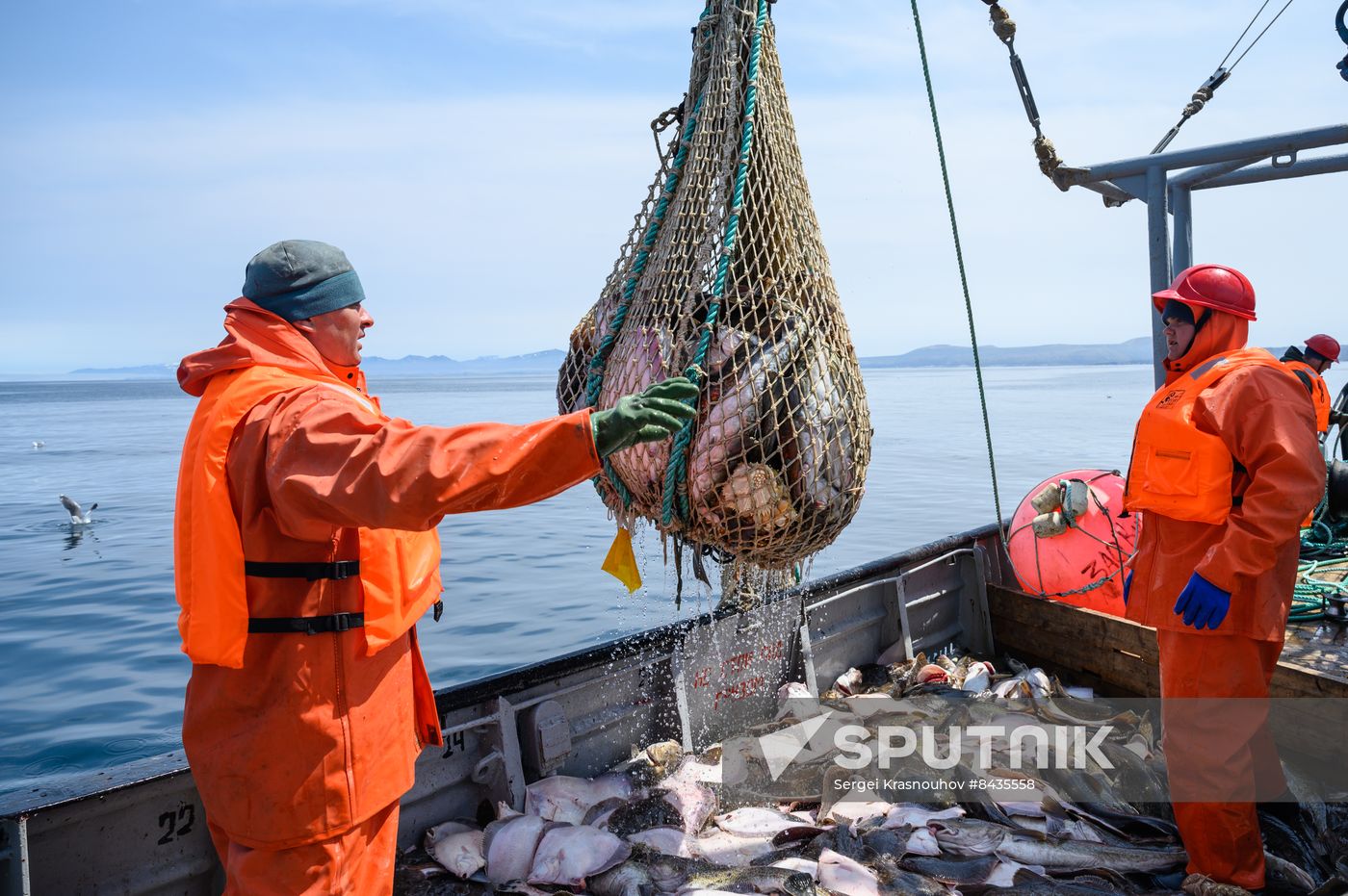 Russia Fishing Industry