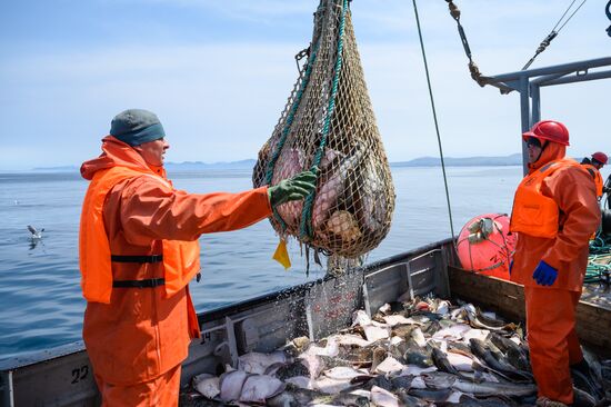 Russia Fishing Industry