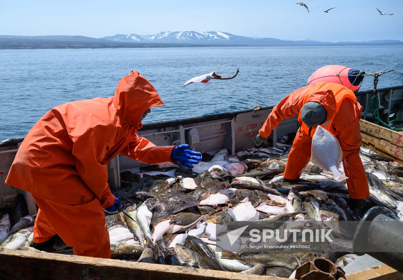 Russia Fishing Industry