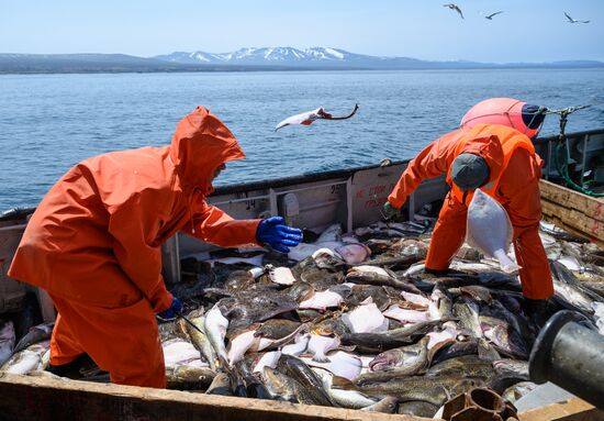 Russia Fishing Industry