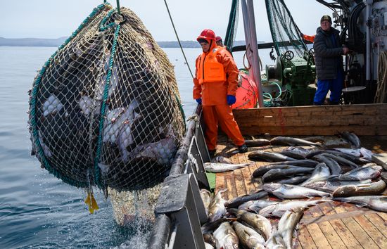 Russia Fishing Industry
