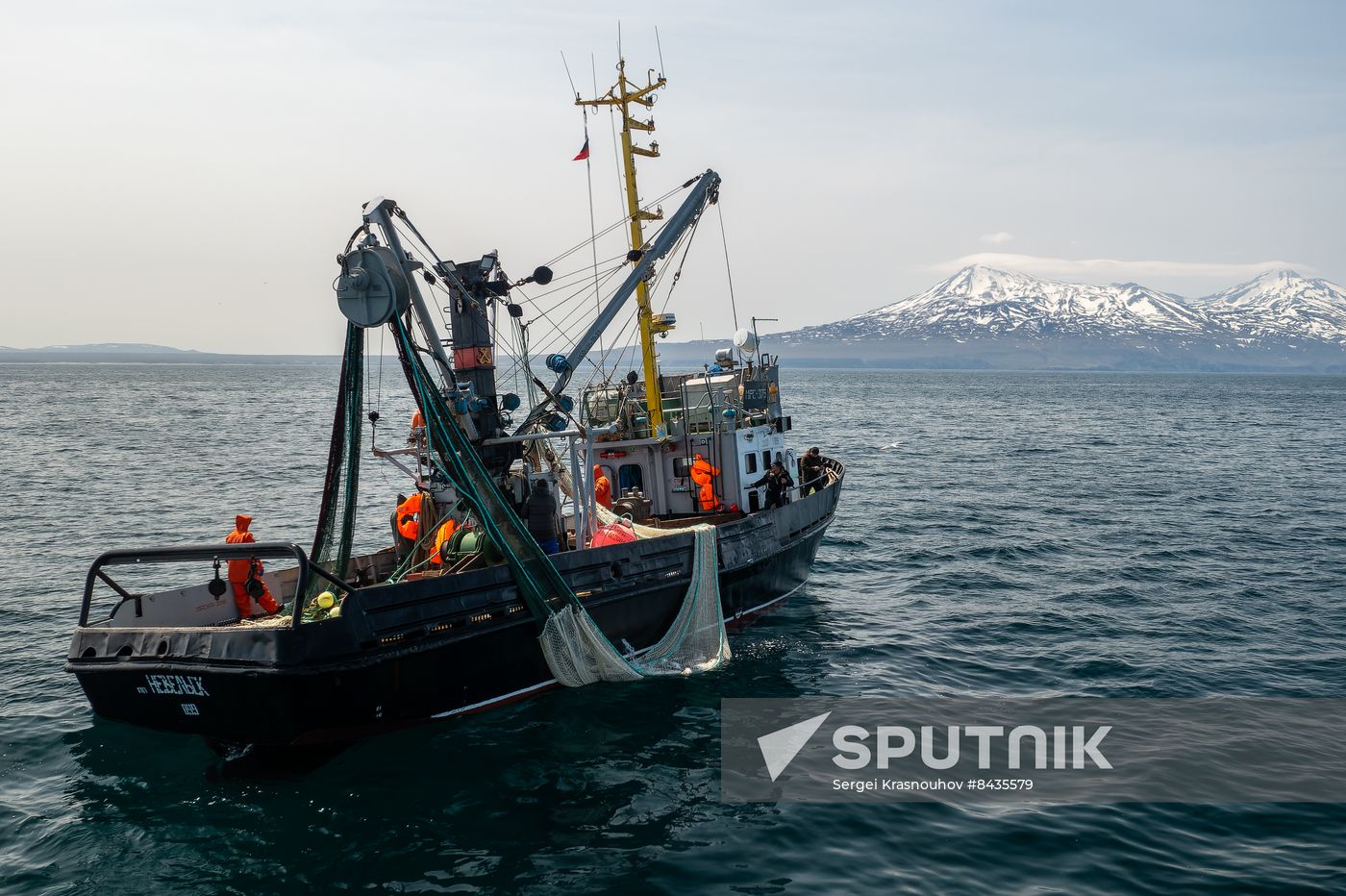 Russia Fishing Industry