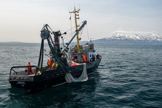 Russia Fishing Industry
