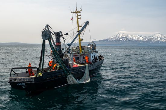 Russia Fishing Industry
