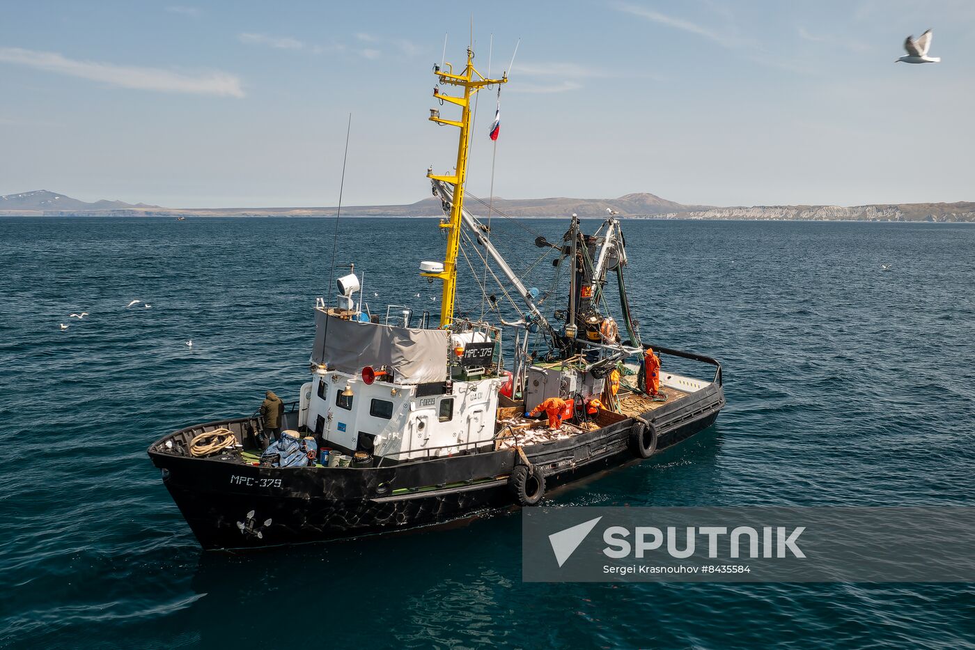 Russia Fishing Industry