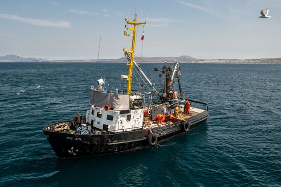 Russia Fishing Industry