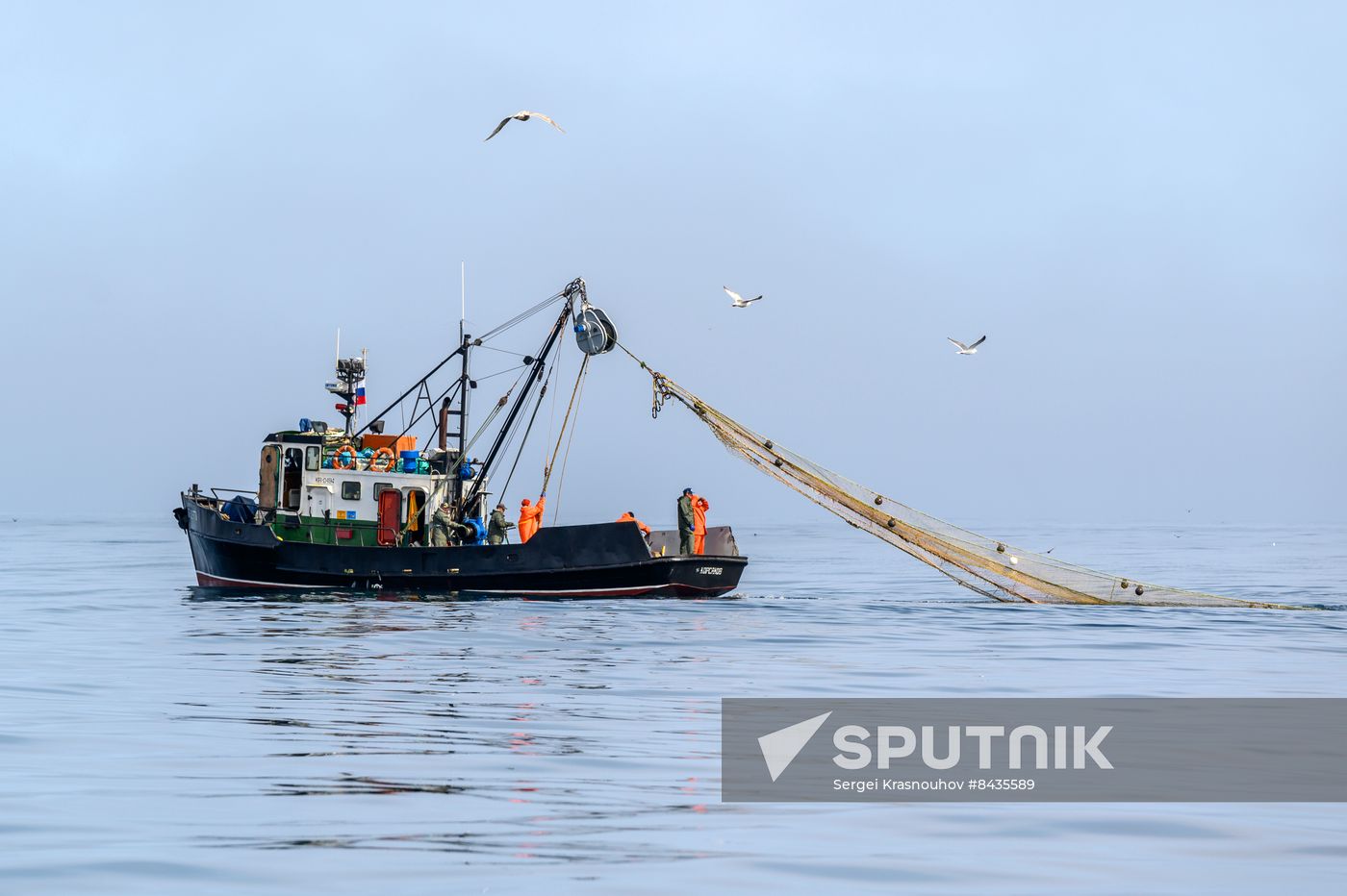 Russia Fishing Industry