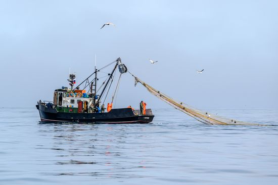 Russia Fishing Industry