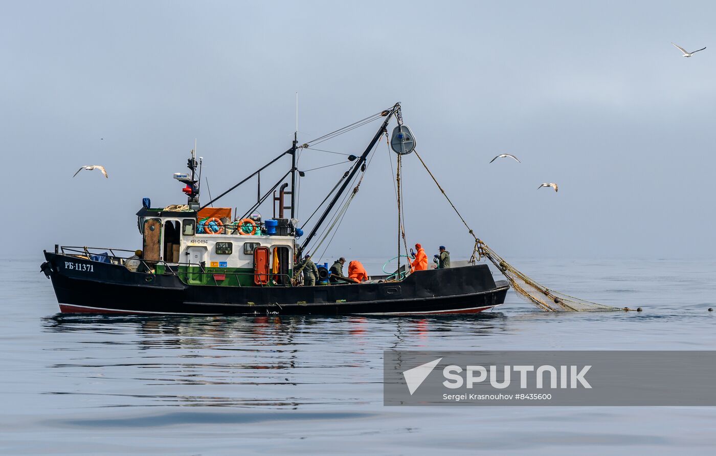 Russia Fishing Industry