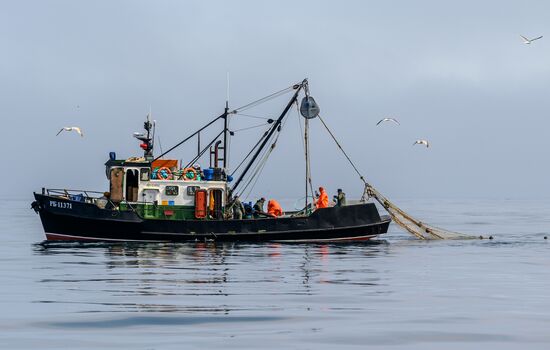 Russia Fishing Industry