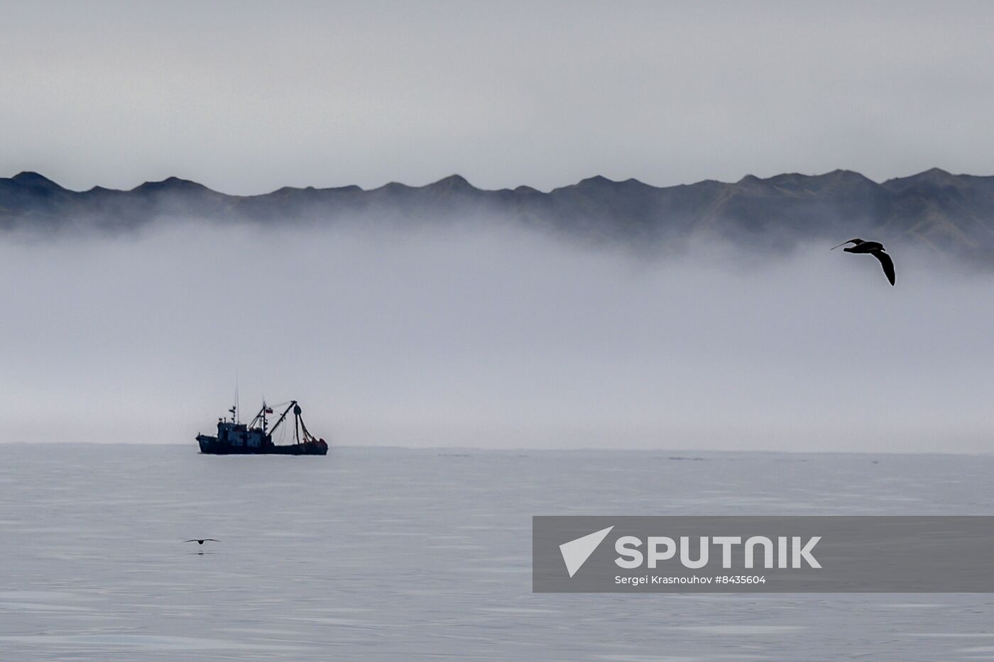 Russia Fishing Industry
