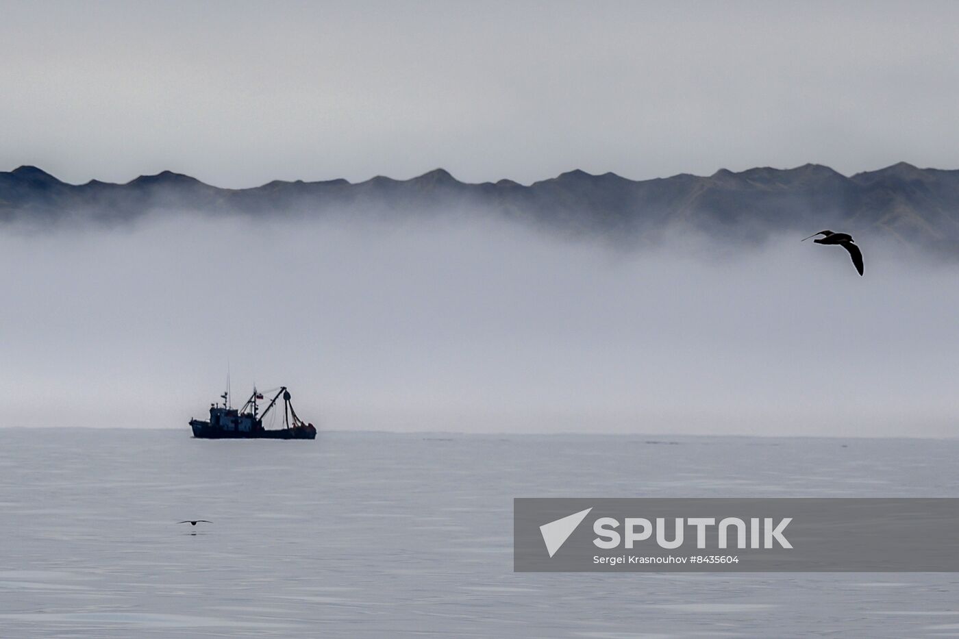 Russia Fishing Industry
