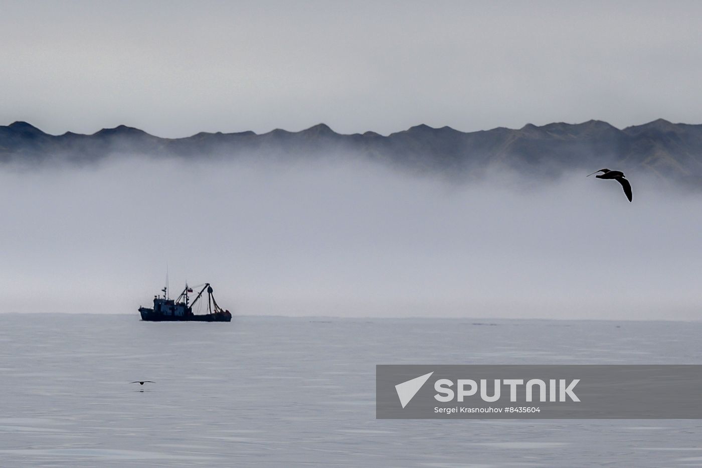 Russia Fishing Industry