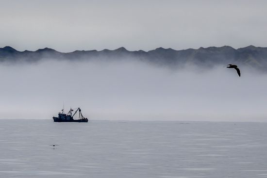 Russia Fishing Industry