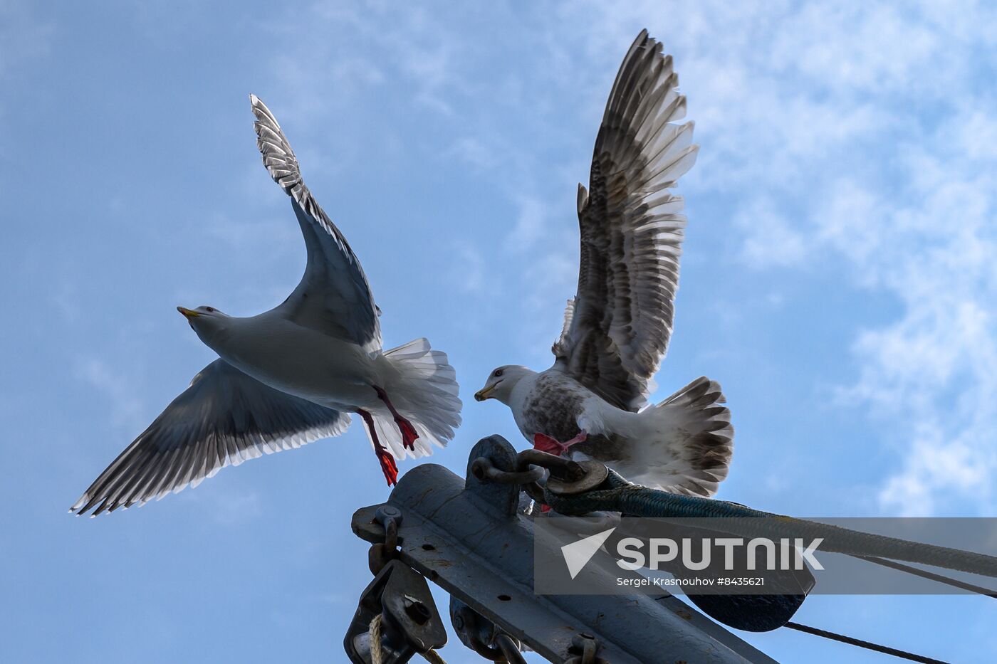 Russia Fishing Industry