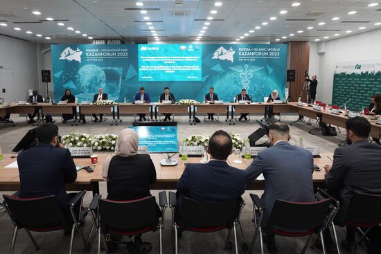 KAZANFORUM 2023. The Role of Young Diplomats in the System of International Relations