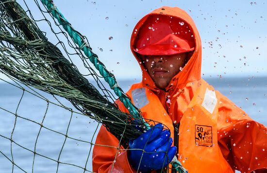 Russia Fishing Industry