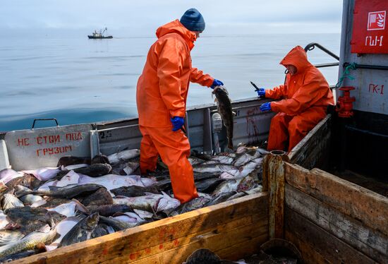 Russia Fishing Industry