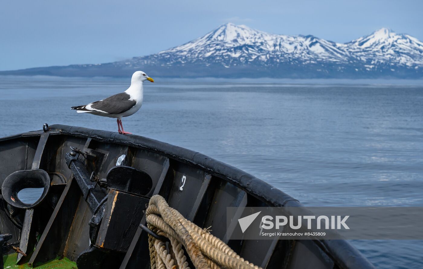 Russia Fishing Industry