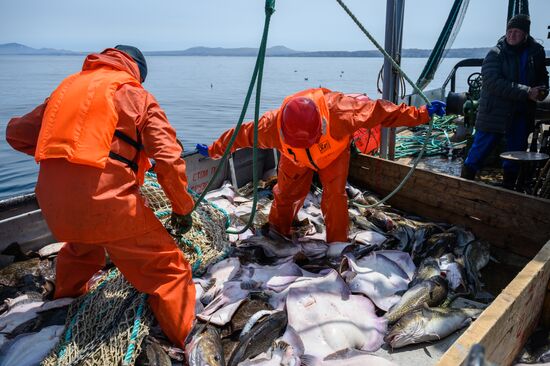 Russia Fishing Industry