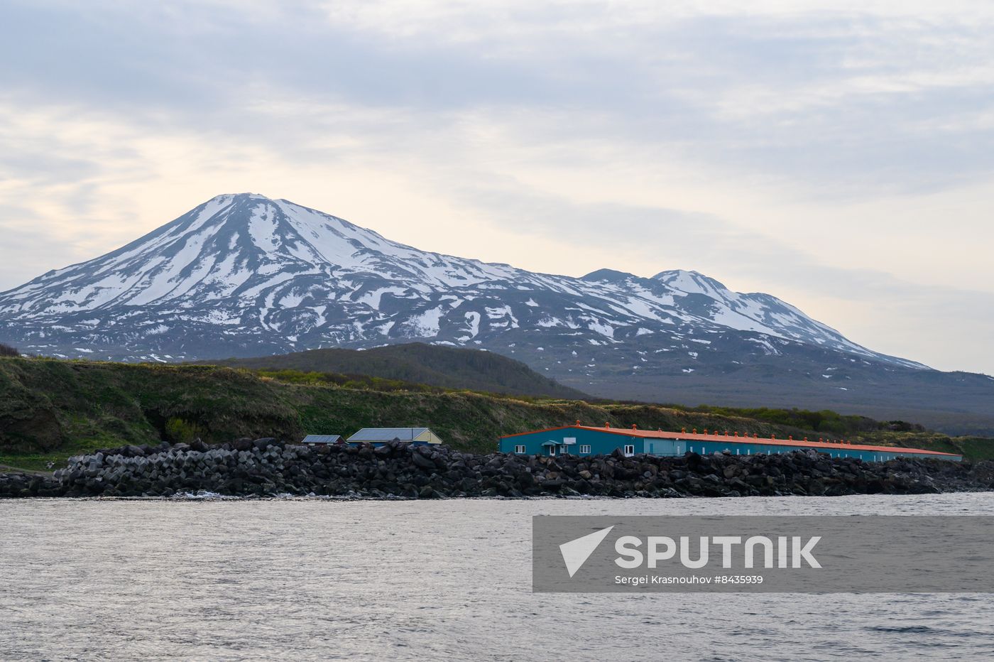 Russia Fishing Industry