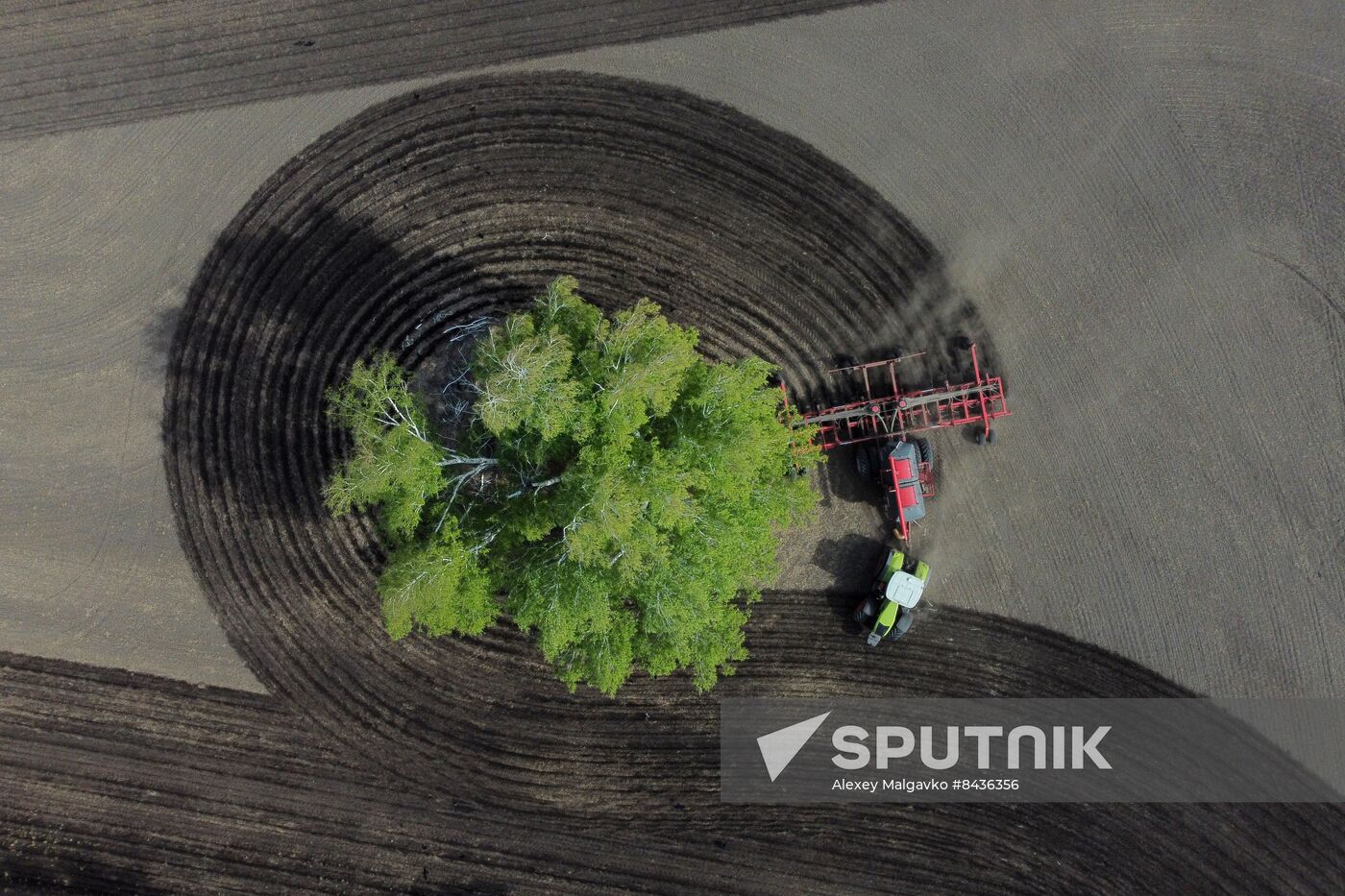 Russia Agriculture Sowing