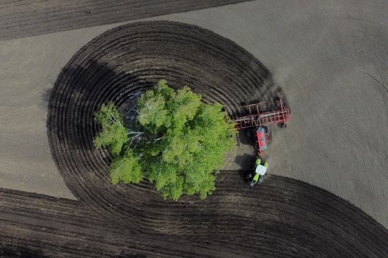 Russia Agriculture Sowing