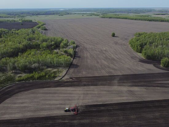 Russia Agriculture Sowing